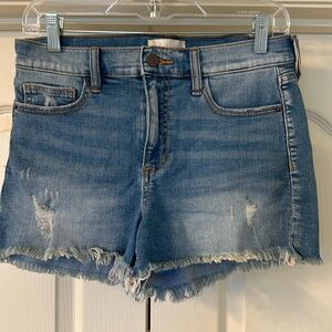 Alter’d State denim shorts